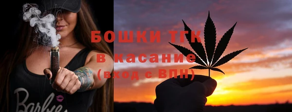 сатива Богородск